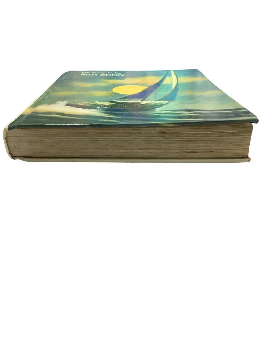 Vintage 1982 Sun Spray Level 12  Scott Foresman Reading Student Textbook Book